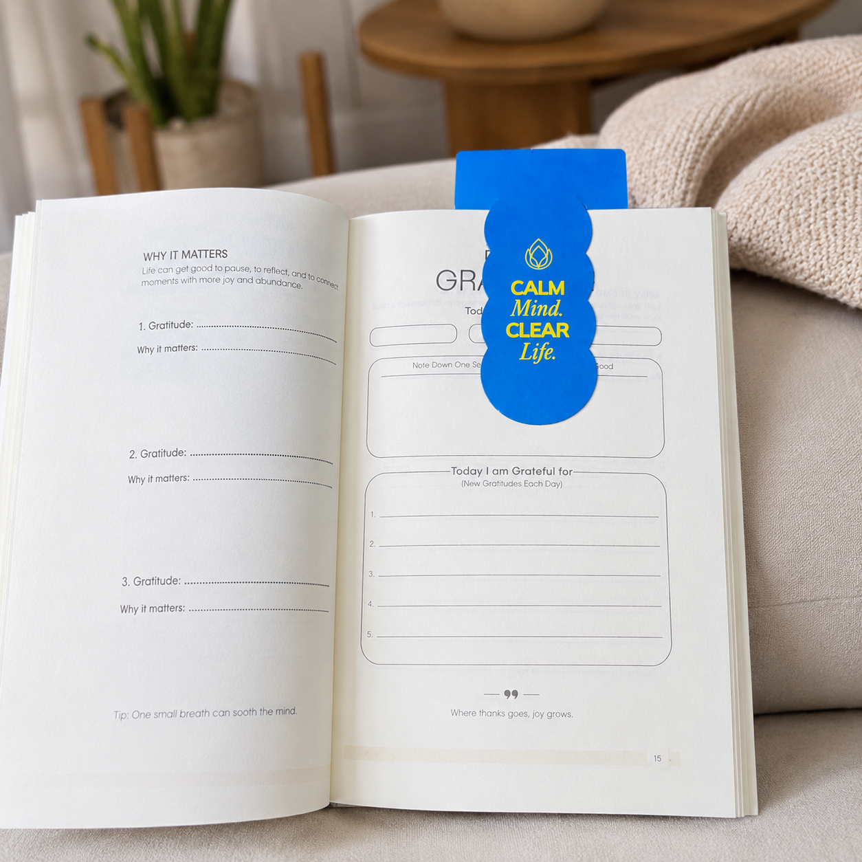 WiseMonk Daily Reset Bookmarks