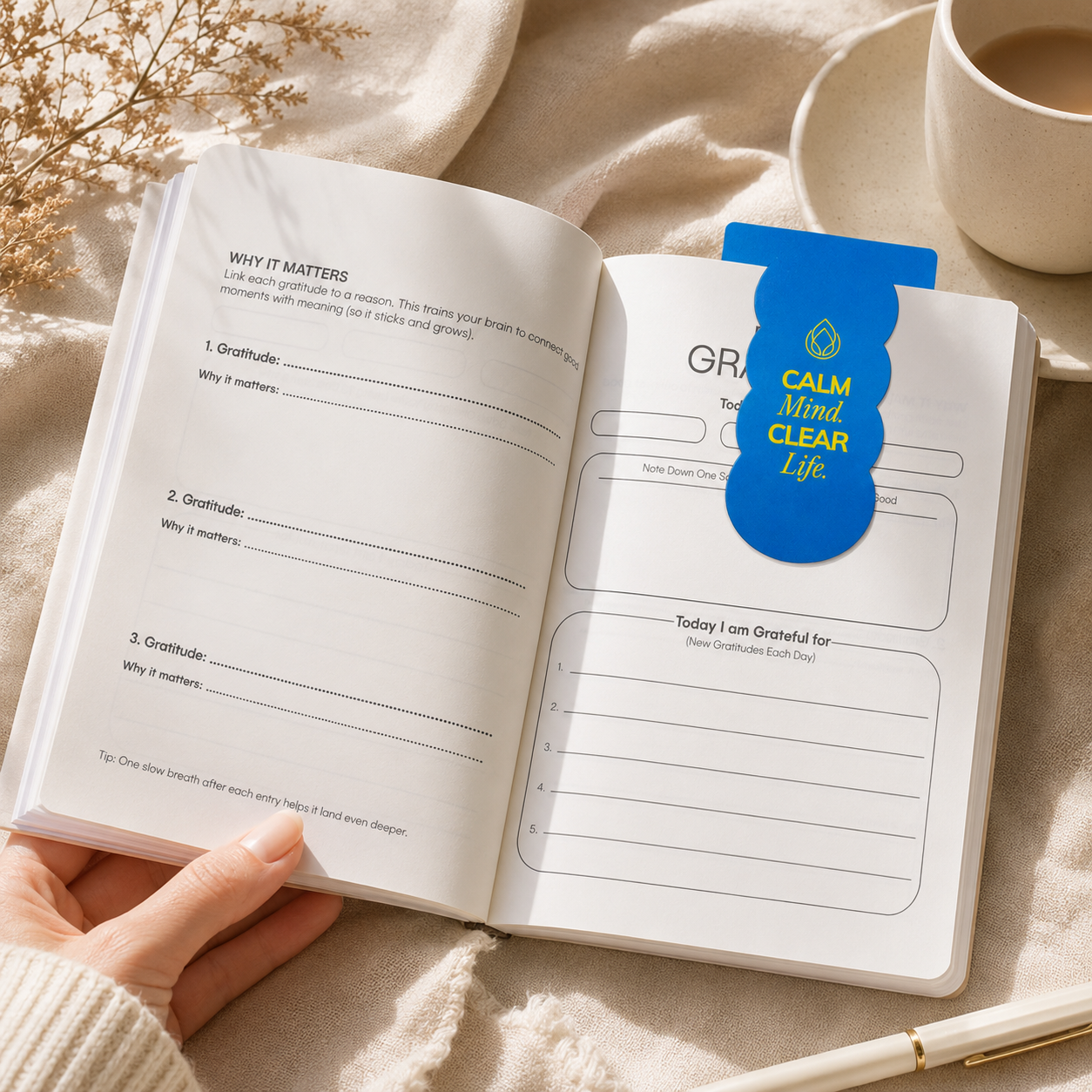 WiseMonk Daily Reset Bookmarks
