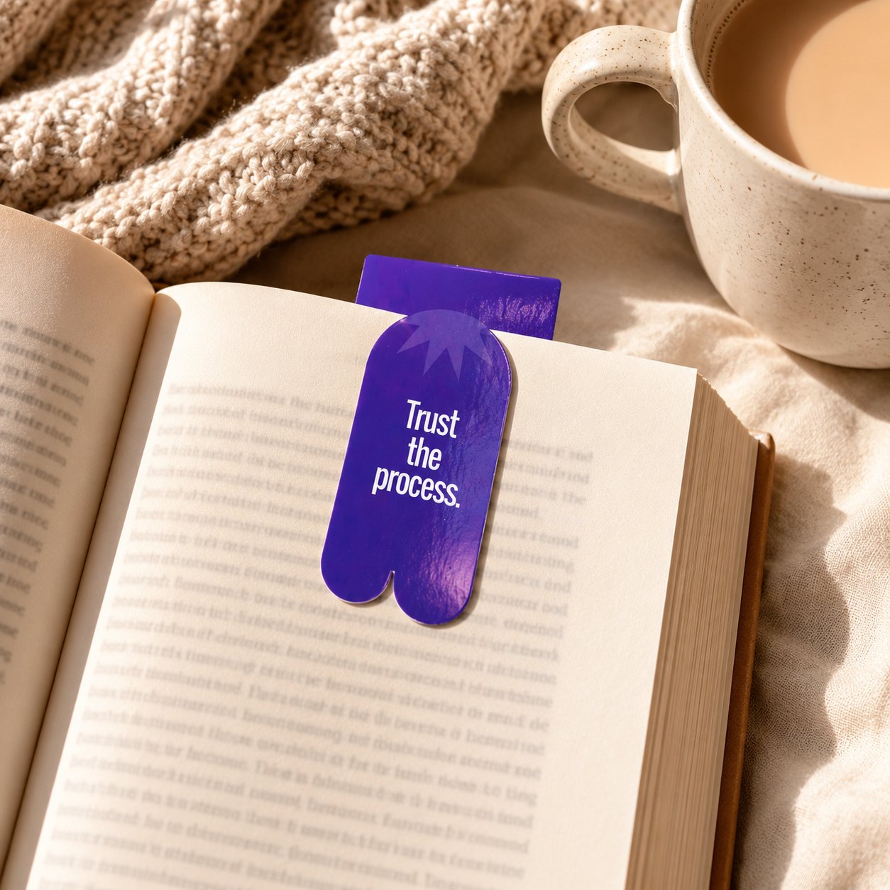 WiseMonk Daily Reset Bookmarks