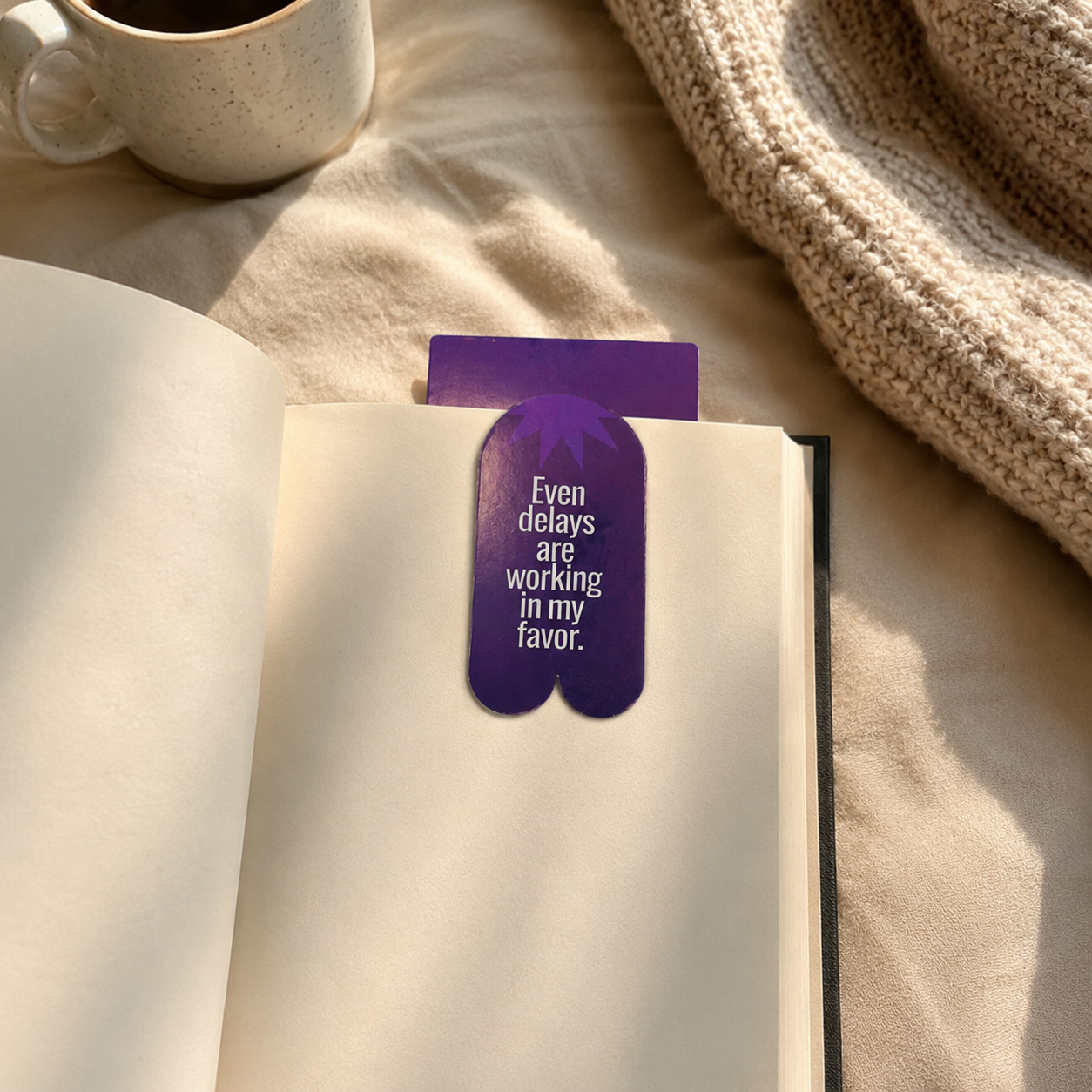 WiseMonk Daily Reset Bookmarks